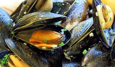 Fowey Mussel Fest