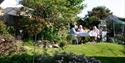 Breakfast in the garden