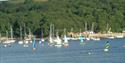 A grandstand view of activity on the river