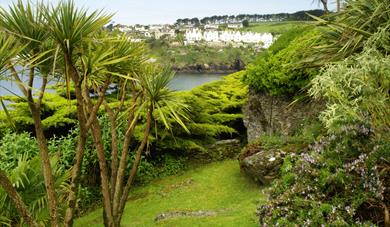 Headland Garden, Polruan, Cornwall